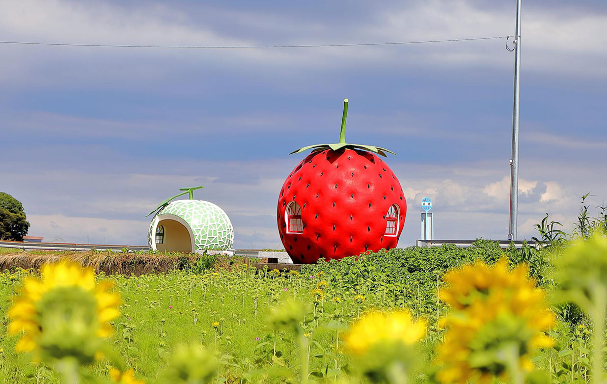 Fruits Bus Stops