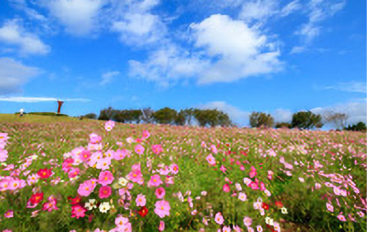 白木峰高原